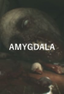 Amygdala