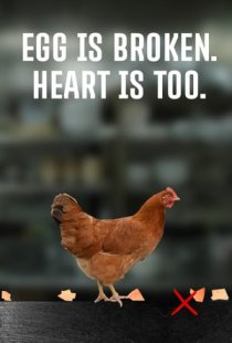egg is broken. heart is too.