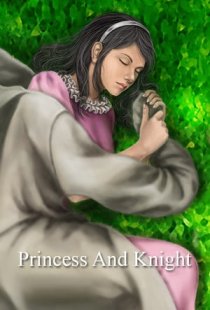 Princess and Knight