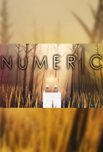 NUMERIC