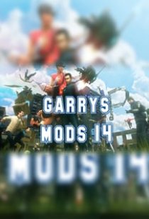 Garrys Mod 14