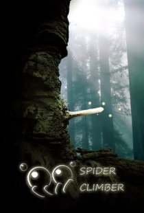 SpiderClimber