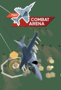 Tiny Combat Arena