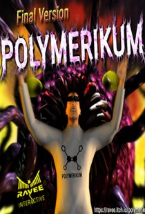Polymerikum Final