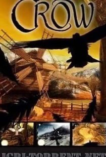 Crow