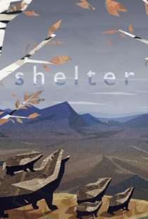 Shelter