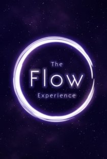 The Flow Experience