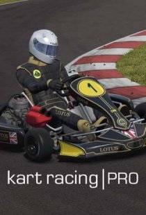 Kart racing pro