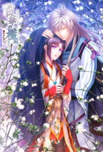 Shirahana no Ori Hiiro no Kake