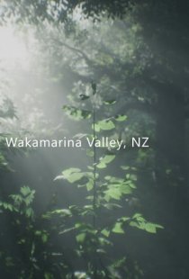 Wakamarina Valley, New Zealand
