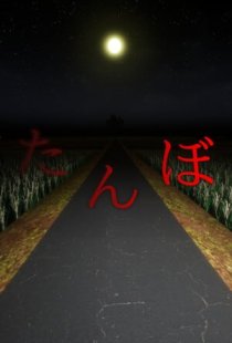 The Paddy Field