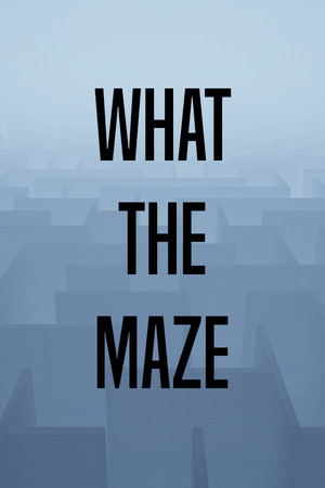 What The Maze Poster