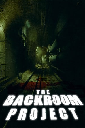 The Backroom Project Poster