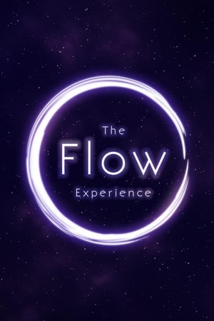 The Flow Experience Poster