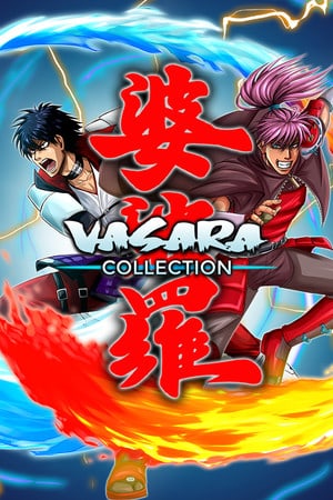 VASARA Collection Poster