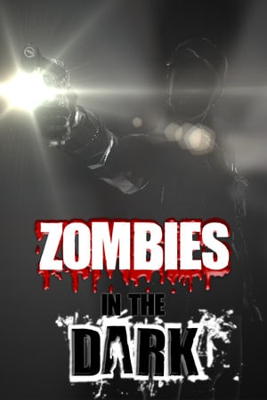 Zombies In The Dark Poster