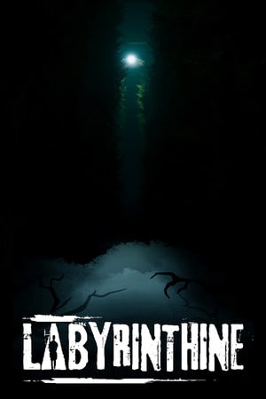 Labyrinthine Poster