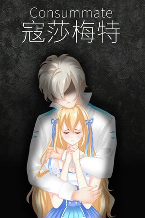 Consummate: Missing World Poster