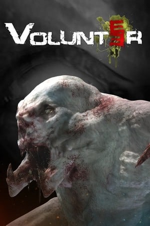 Volunteer Poster