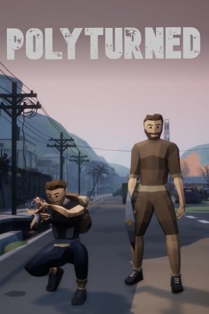 Polyturned Poster