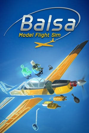 Balsa Model Flight Simulator Poster