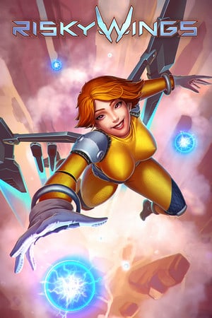 Risky Wings Poster