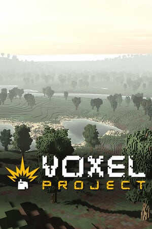 Voxel Project VR Poster
