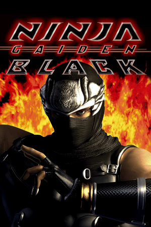 Ninja Gaiden Black Poster