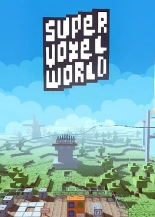 Super Voxel World Poster