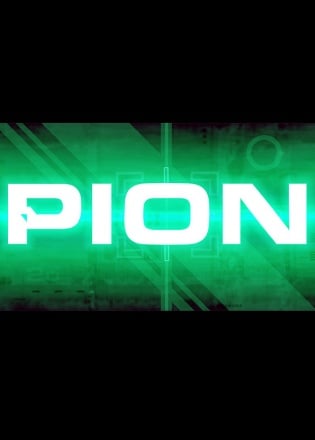 PION Poster