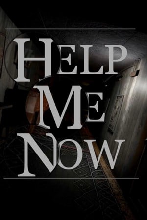 Help Me Now Poster