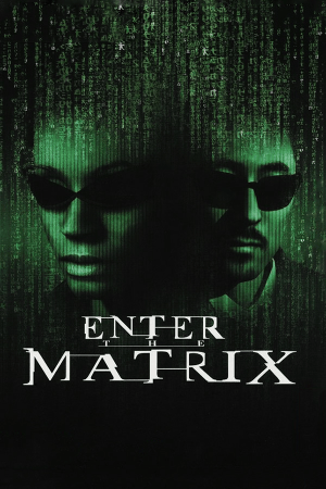 Enter the Matrix Poster