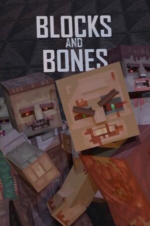 Blocks and Bones Poster