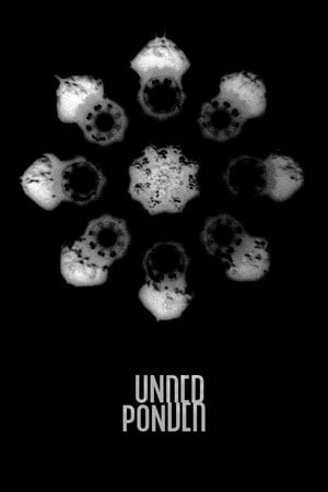 Underponder Poster