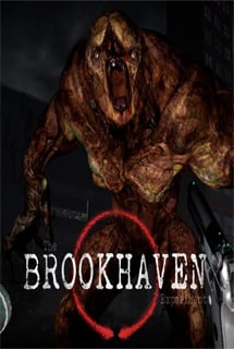 The Brookhaven Experiment Poster