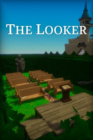 The Looker Poster