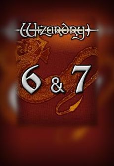 Wizardry 6+7 Poster
