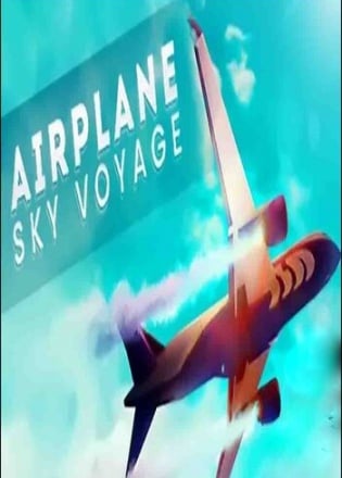 Airplane Sky Voyage Poster
