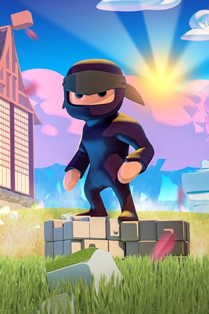 Mad Dojo Poster