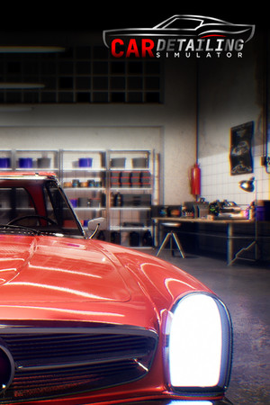 Car Detailing Simulator Poster