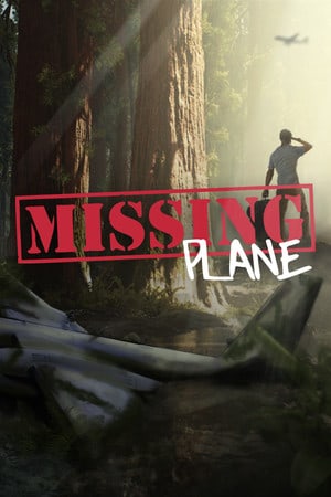 Missing Plane: Survival Poster