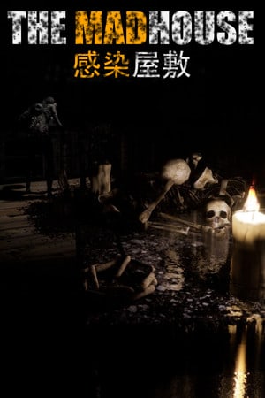 THE MADHOUSE Poster