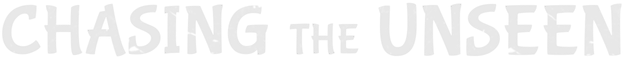 Chasing the Unseen Logo