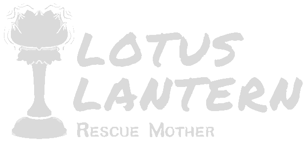 Lotus Lantern: Rescue Mother Logo
