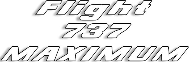 Flight 737 - MAXIMUM Logo