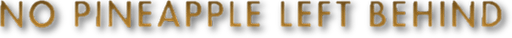 No Pineapple Left Behind Logo