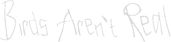 Birds Arent Real Logo