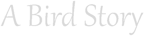 A Bird Story Logo