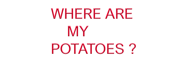 Where are my potatoes? Logo