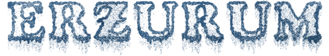 Erzurum Logo